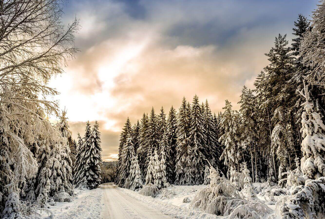 SMS messaging: a solution even in winter! | Spryng